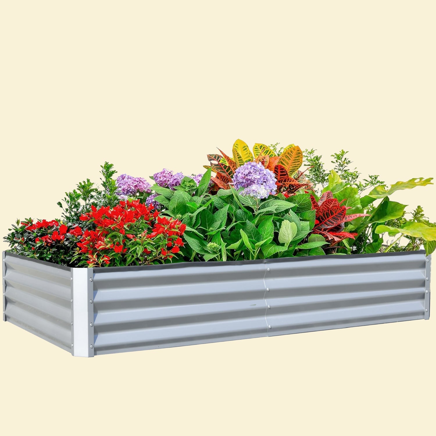 Rectangle Garden Beds Outdoor