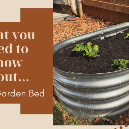 Garden Beds Outdoor